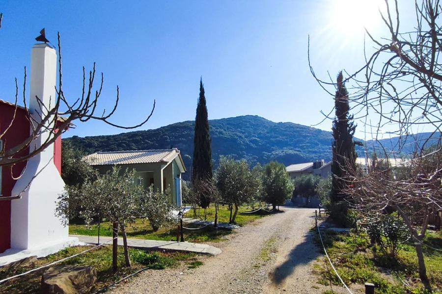 Socrates Organic Village - Wild Olive Mesolóngion Extérieur photo