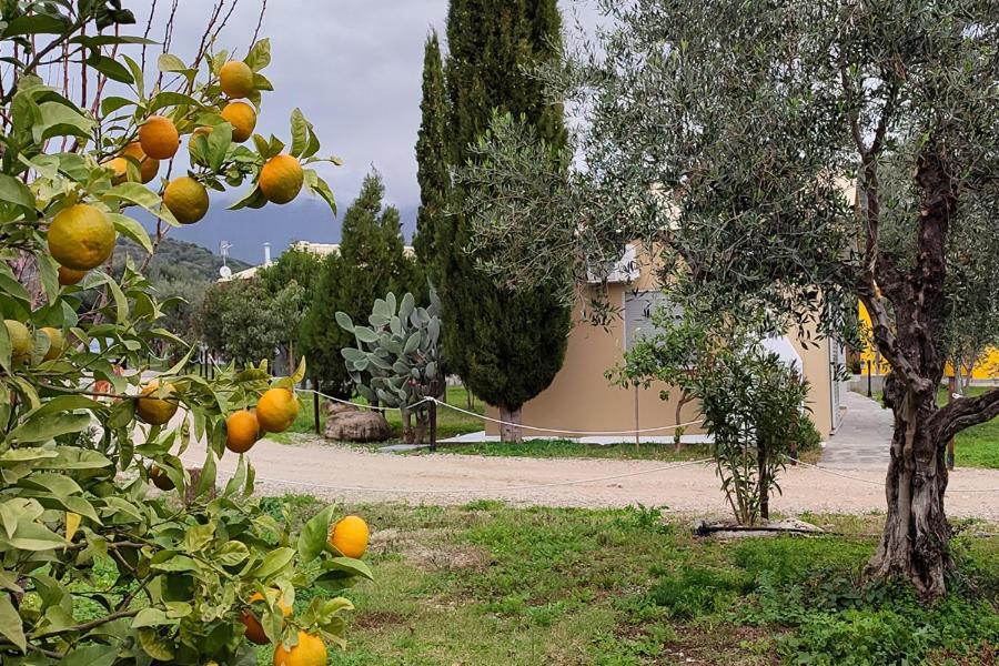 Socrates Organic Village - Wild Olive Mesolóngion Extérieur photo