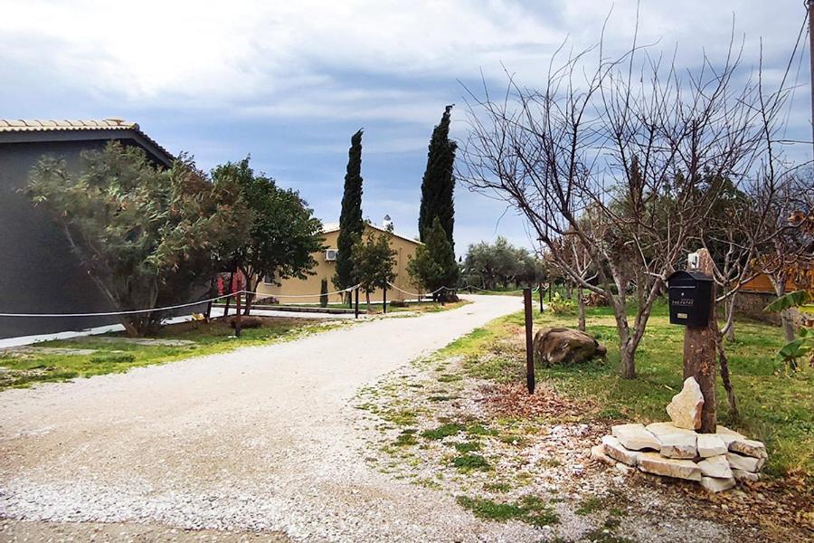 Socrates Organic Village - Wild Olive Mesolóngion Extérieur photo