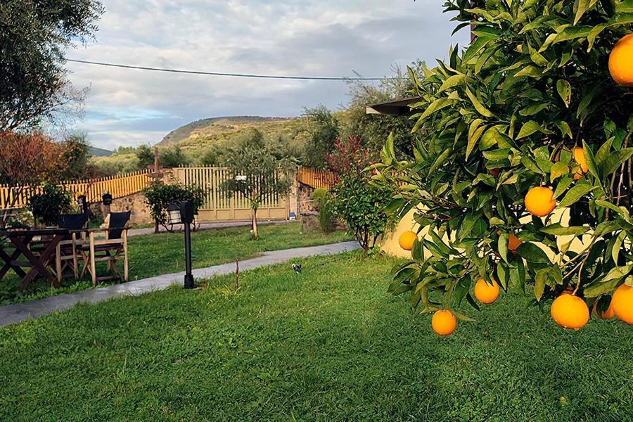 Socrates Organic Village - Wild Olive Mesolóngion Extérieur photo